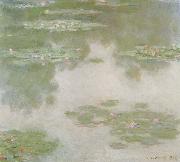 Claude Monet Water-Lilies oil